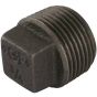 Malleable Iron Plug