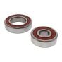 Set of 2 Bearings for FR200 Floor Planer