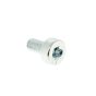 Screw for Honda UMC425 Brushcutter - 90101-VL6-P31