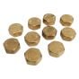 3/4"Inch Water Only Compression Blanking Nut Cover Cap (pack of 10)