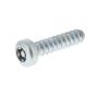 Self-Tapping Screw for Viking GB 370.2 S, 370.1 S Petrol Shredders- OEM No. 9104 007 4436