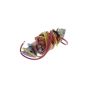 Coil For M.A.G. Industrial Engineᅠ - 9349 086