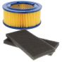 Filtration Kit fits Belle RTX66 RTX74 Trench Rammers for GX120 - 980/03100