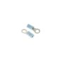 Scratch Test Nail (for hire industry) for Arbortech Allsaw AS175 - A17571