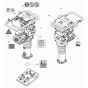Decals for Wacker AS50e