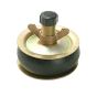 Drain Test Plugs