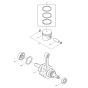 Crankshaft, Piston Assembly