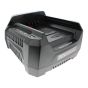 Battery Charger 220v - Genuine Briggs & Stratton - 1760264