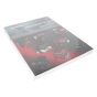 Briggs & Stratton Single Cylinder Repair Manual - OEM No. 270962