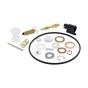 Kit-Carb Overhaul for Briggs & Stratton 305777-3032-G1 16 HP Series Engines - 842890