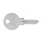 Replacement Plant Key - C105 - Sold Individually