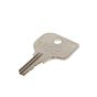 Replacement Plant Key - C105 - Sold Individually (SINGLE SIDED)