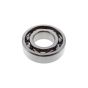 Bearing for Camon C6, C8 Rotovator - OEM No. 37111200