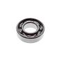 Bearing for Camon C12, C13, C15 Rotovator - OEM No. 37111250