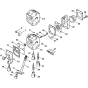 Stihl HS45 Hedge Trimmer Carb Assembly C1Q-S70, S150, S169, S170