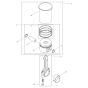 Cylinder, Piston Assembly