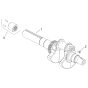 CrankShaft for Kohler ECH650 Engines
