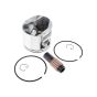 Piston Kit for ECHO RM-4300 Brushcutter - OEM No. ECP100012460