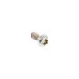 Torx Bolt for ECHO CS-2511WES, CS-355T Chainsaws - OEM No. V805000240
