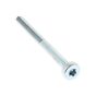 Torx Bolt for ECHO PPT-2620HES, PPT-2620ES Pole Pruners - OEM No. V805000340