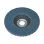 Flap Disc Zirconium Dia.100mm 16mm Bore 40Grit Sealey Part No. FD10040