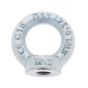 High Tensile Steel Eye Nuts