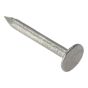 Multipurpose Clout Nails Galvanised 30 x 2.65mm & 40 x 2.65mm  large head (2.5kg Bag)