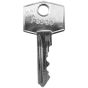 FS900 Replacement Plant Key- Reliable Spare
