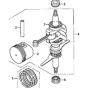 Crankshaft Piston Assembly