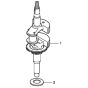 Crankshaft for Honda HRG415C2 (IZY) - SDEE Lawn Mower