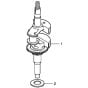 Crankshaft for Honda HRG415C3 (IZY) - PDEE Lawn Mower