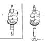 Crankshaft for Honda HRX537C - TDE Lawn Mower