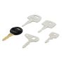 Set of 5 Popular Plant Keys