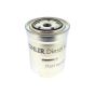Fuel Filter for Lombardini LDW 1003, LDW 1003/T Engines - L2175.318