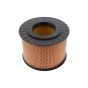Air Filter fits Hatz 1B20, 1B30 Engine - Replaces 01391800