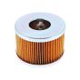 Fuel Filter for Hayer T 224, T 24 Mowers
