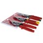 Metal Aviation Snips Set, 3 Piece