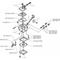 Carburetor Details Assembly for Husqvarna MONDO Edger