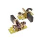 Brush & Holder 230v for Dewalt DWD241 Paddle Mixer - N681075