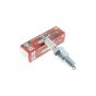 N9YC Champion Spark Plug fits Honda & Robin Engines