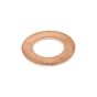 Packing Ring 8x15x1 DIN7603 for Nilfisk MC 3C, MC 4M Pressure Washers - OEM No. 65466