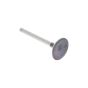 Exhaust Valve for Robin Subaru EX27 Engine - RB279 33501 13