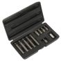 Spline Bit & Holder Set 11pc - 3/8"Sq Drive Sealey Part No. S0534