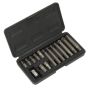 Ribe Bit & Holder Set 15pc - 3/8"Sq Drive Sealey Part No. S0871