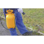 Pressure Sprayer 5ltr Sealey Part No. SS2