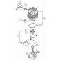 Cylinder & Crankshaft for TBL4600