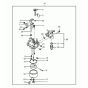 Carburettor Assembly for VP50X