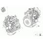Engine Assembly for Neuson 3001