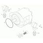 Gear Pump Assembly