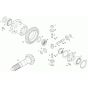 Differential Axle Assembly